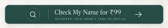 Check My Name for ₹99